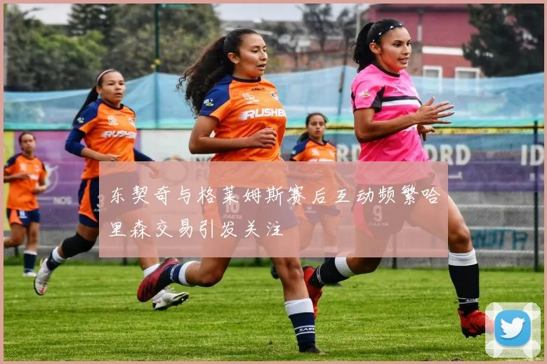 东契奇与格莱姆斯赛后互动频繁哈里森交易引发关注
