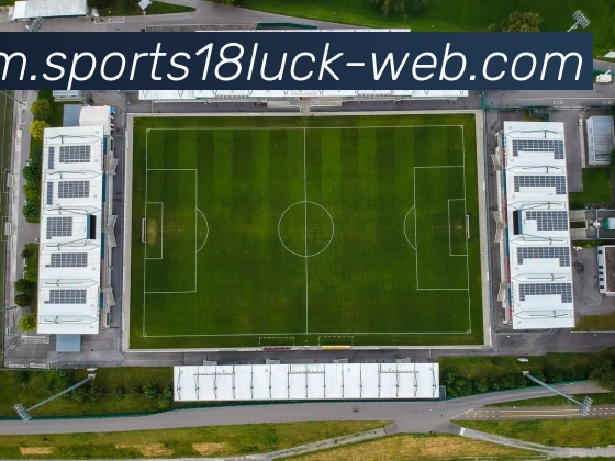 App Interface Preview